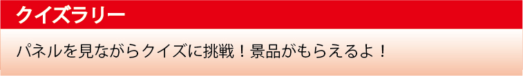 �N�C�Y�����[�E�p�l�������Ȃ���N�C�Y�ɒ���I�i�i�����炦���I